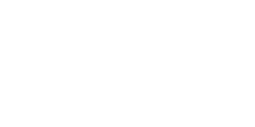 Veyron Studio logo