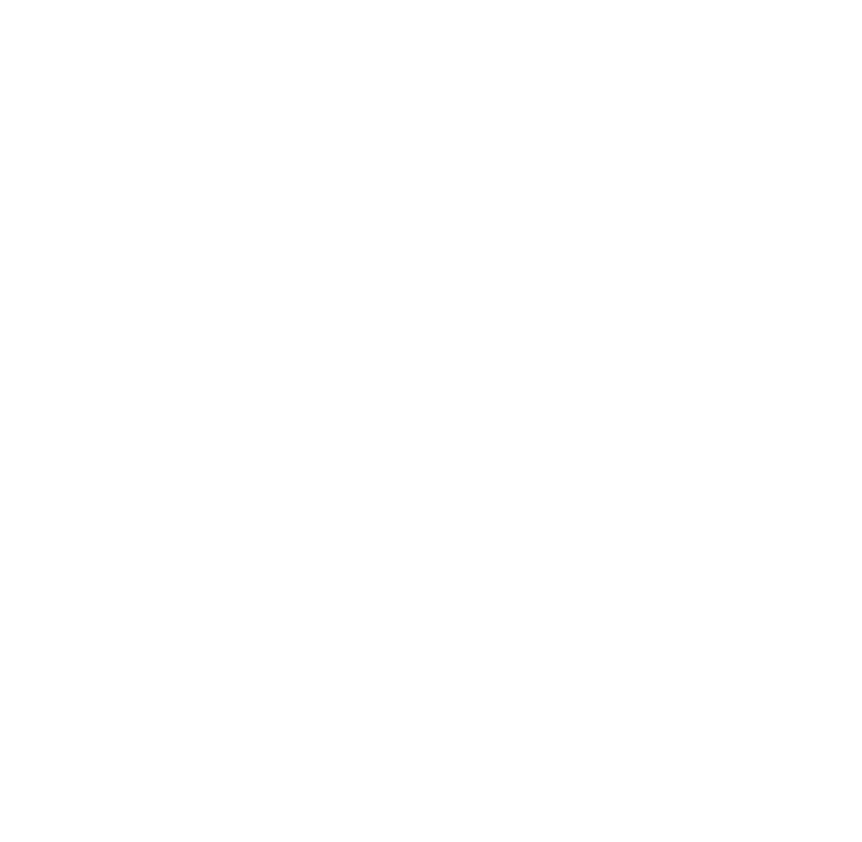 waniso logo
